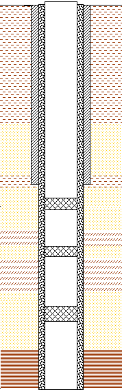 ris2