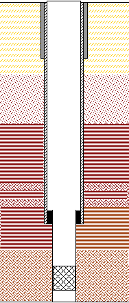 ris3