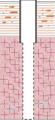ris5